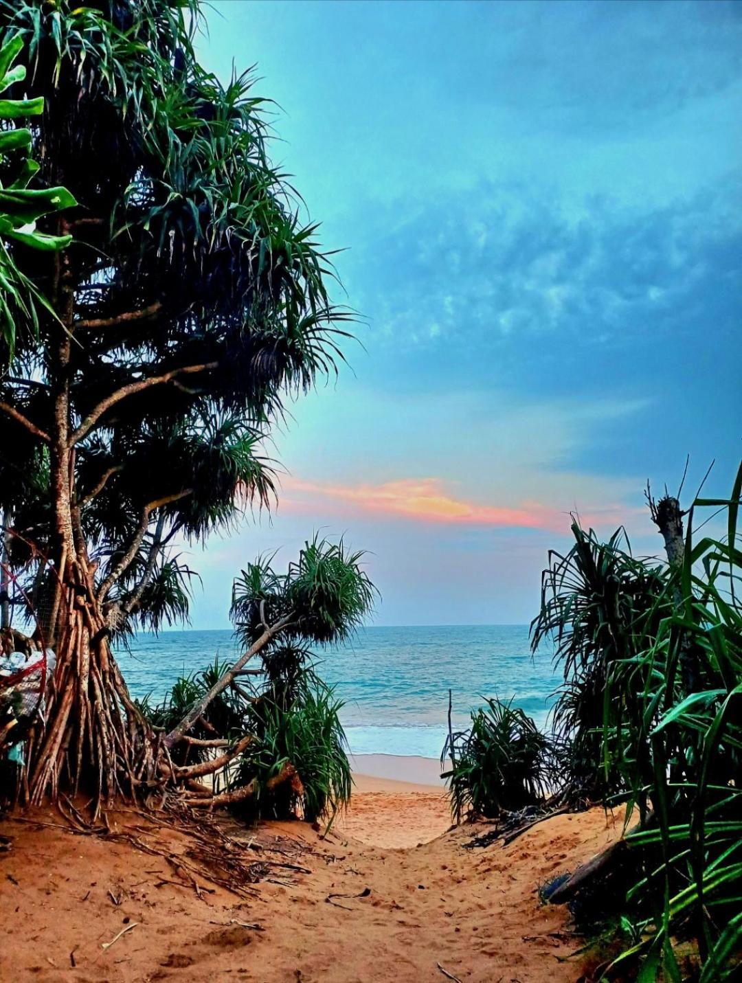 Turtle Island Cabana Тангалла Экстерьер фото